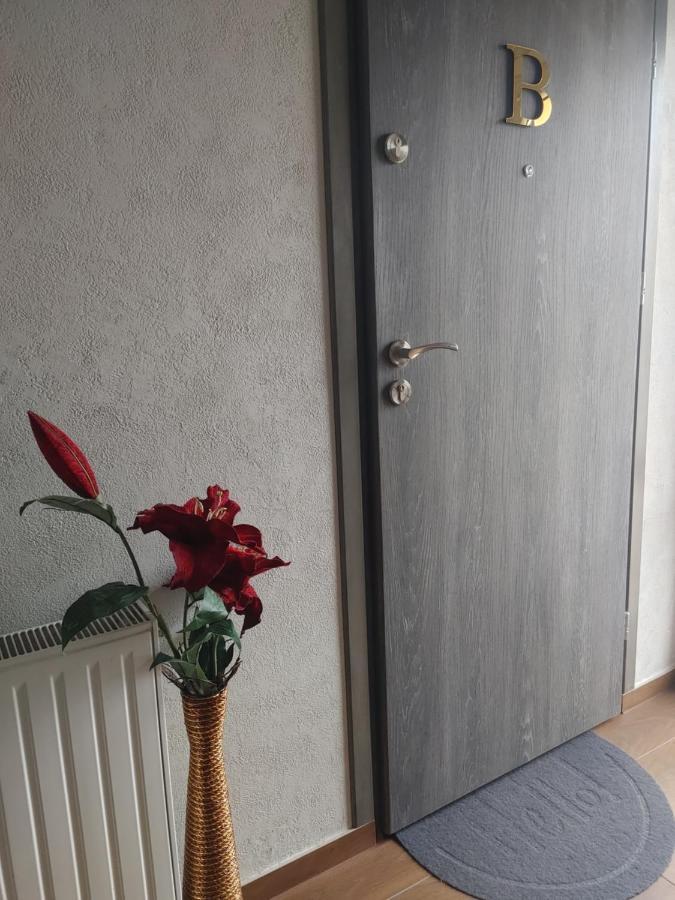 Apartamenty U Zofii Iława Exteriér fotografie